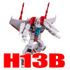 H13B Michael (jumps to details)
